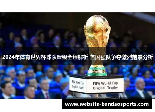 2024年体育世界杯球队晋级全程解析 各国强队争夺激烈前景分析
